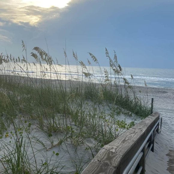 Meet your Posher, Amy - Picture 6 of 10